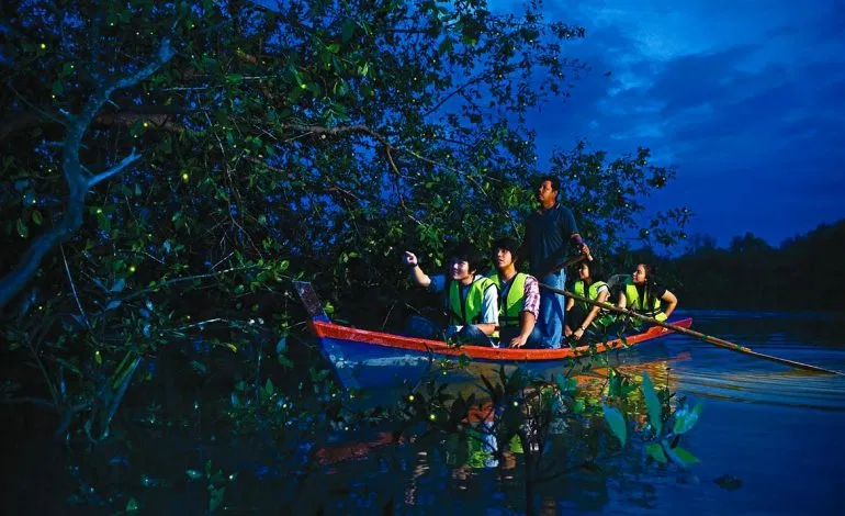 A wooden sampan on the river at night, passengers in life jackets, fireflies in the trees along the bank